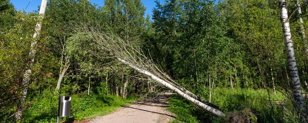 Sähkökatko